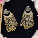 Stunning long earrings