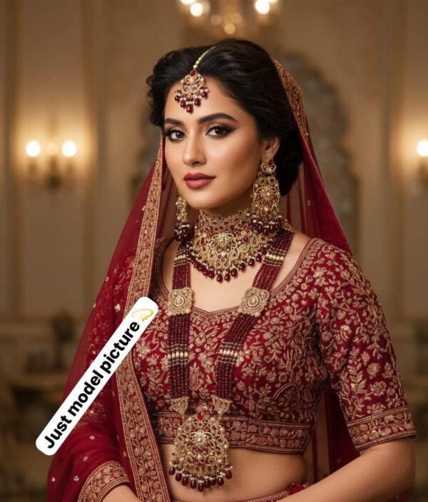 Kashvi bridal set - Image 1