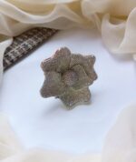 Shumaim ring zircon - Image 2